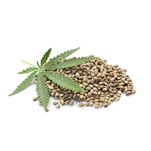 Seeds
